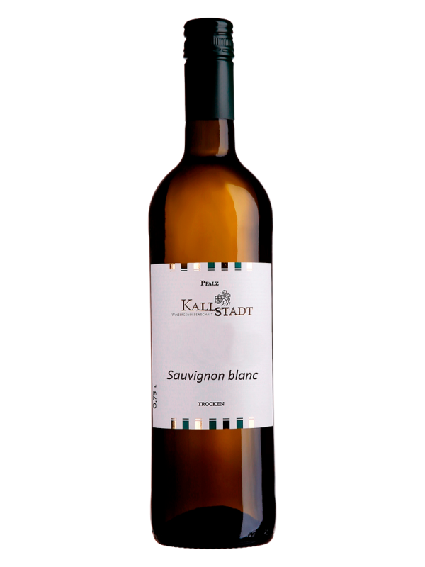 2023 Pfalz Sauvignon blanc