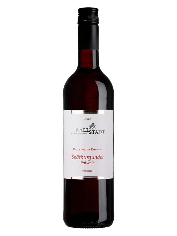 2022 Kallstadter Kobnert Spätburgunder Rotwein