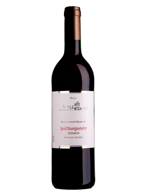 2020 Kallstadter Kobnert Spätburgunder Rotwein