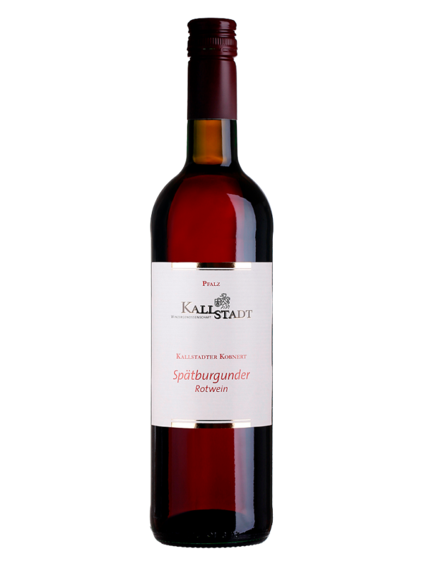 2020 Kallstadter Kobnert Spätburgunder Rotwein