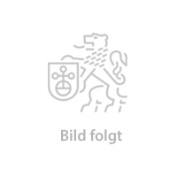 Ungsteiner Honigsäckel Riesling Kabinett